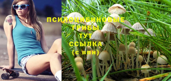 хмурый Алзамай