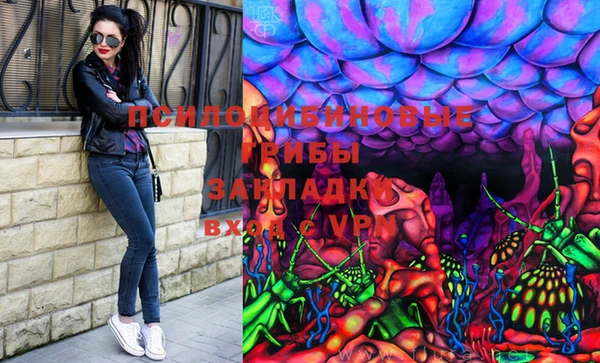 хмурый Алзамай