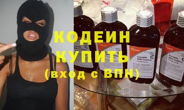 хмурый Алзамай