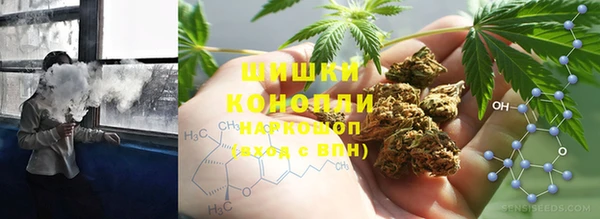 хмурый Алзамай