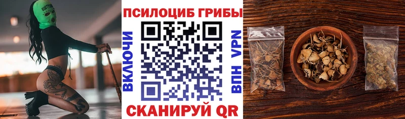 Псилоцибиновые грибы Magic Shrooms  MEGA как зайти  Оленегорск 